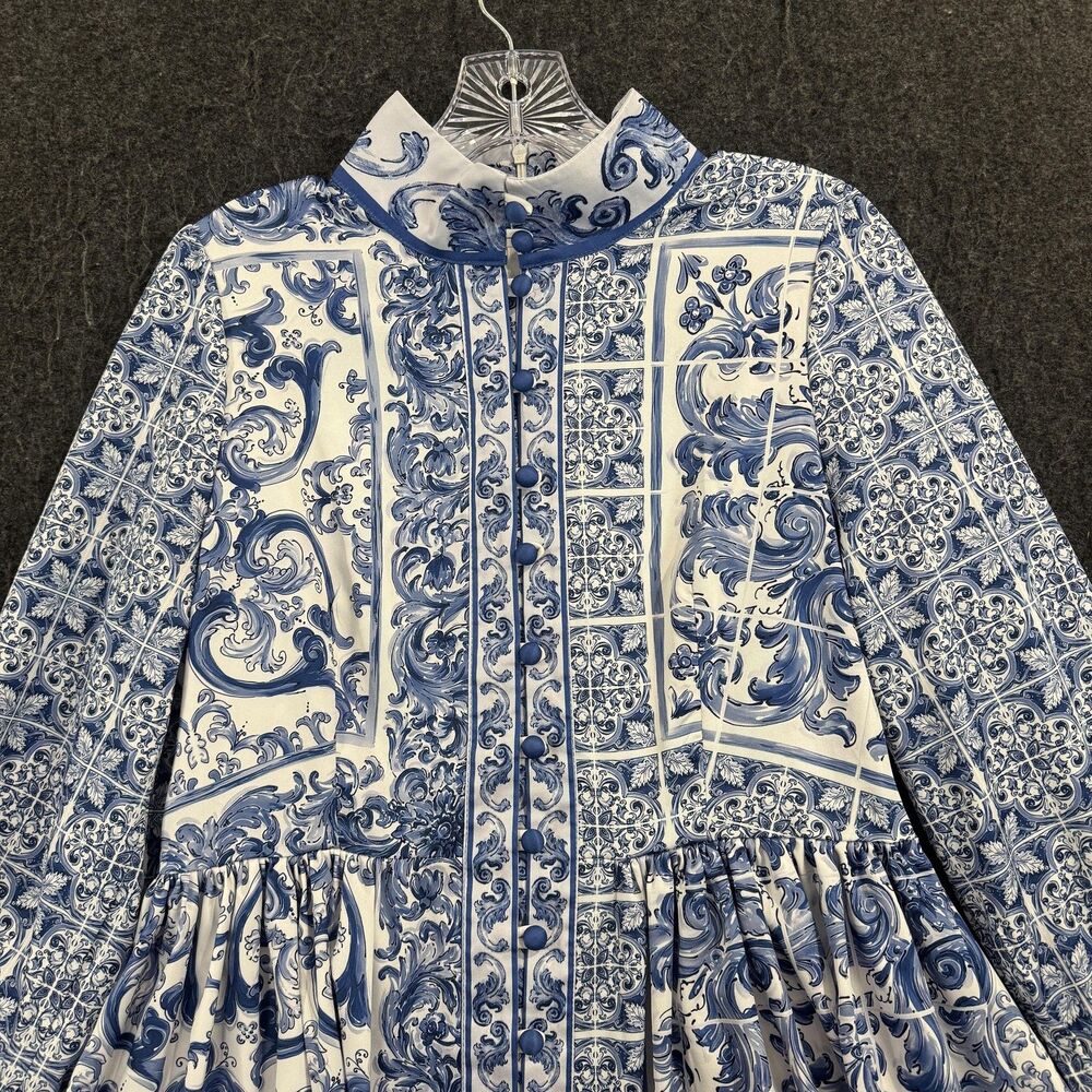 Blue and White Printed Midi Dress - Picture 2 of 7